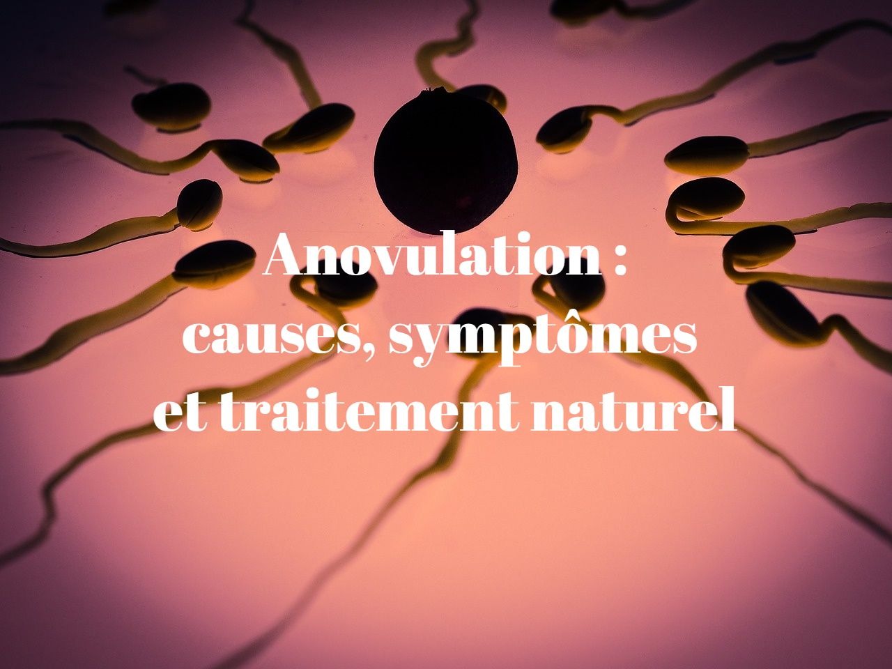 Anovulation : causes, symptômes et traitement naturel.